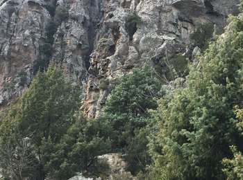 Trail Walking Popolasca - Popolasca - Photo