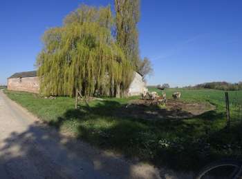 Trail Mountain bike Charleroi - Ransart -luttres - Photo