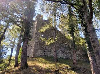 Tour Wandern Varenna - Sentiero del Viandante Varenna à Bellona - Photo