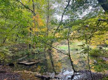 Tocht Stappen Hoeilaart - Hazendalwandeling - Photo