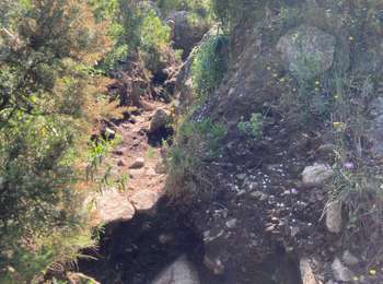 Trail Walking Calvi - Pointe de la bêta - Photo