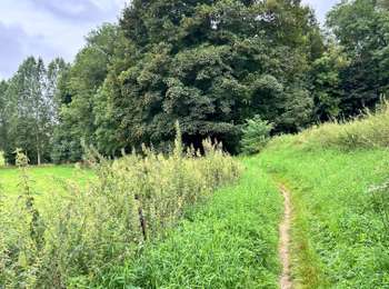 Trail Walking Hannut - La Balade des Deux Vallées - Photo