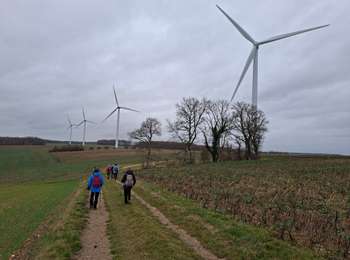 Trail Walking Pont-sur-Vanne - Pont sur Vanne 260125 - Photo