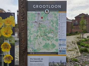 Tocht Stappen Borgloon - 2026-03-11_14h46m38_borgloon-🌸-🌼-🌺 - Photo