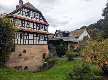 Trail Horseback riding Lembach - suuntoapp-HorsebackRiding-2024-09-27T08-57-29Z - Photo