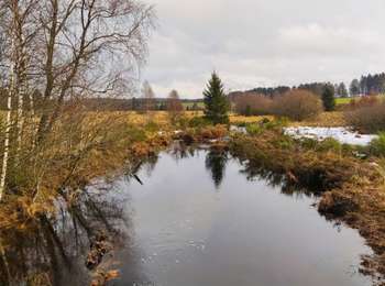 Tocht Stappen Waimes - Wandeling Peak Beer blonde  (new) - Photo