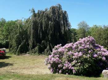 Trail Hybrid bike Servance-Miellin - sur le plateaux des 1000 etangs en vtc - Photo