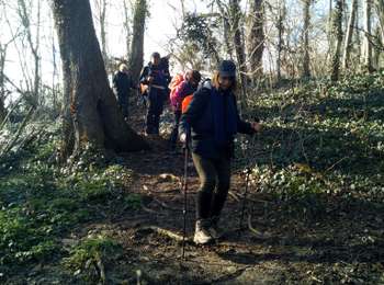 Randonnée Marche Viroflay - La grande traversée des forêts des Hauts de Seine - Photo