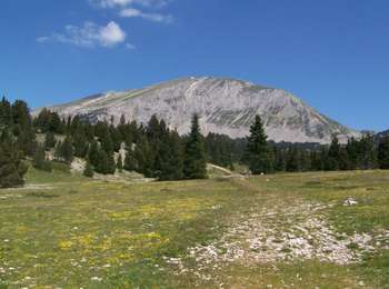 Randonnée Marche Saint-Agnan-en-Vercors - Le Grand Veymont par la Coche - Photo
