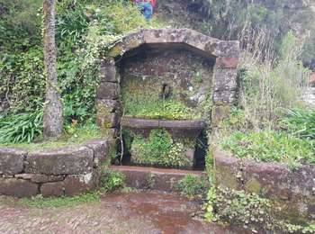 Tocht Stappen Calheta - Madère : de Rabaçal vers les 25 sources - Photo