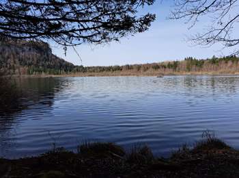 Tour Wandern Bonlieu - Tour du lac de Bonlieu et le marais - Photo