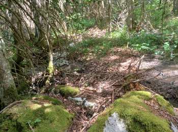 Trail Walking Bellefontaine -  Le Piroulet - Les Pichonniers - Photo