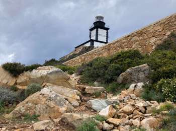 Trail Walking Calvi - Revellata  - Photo