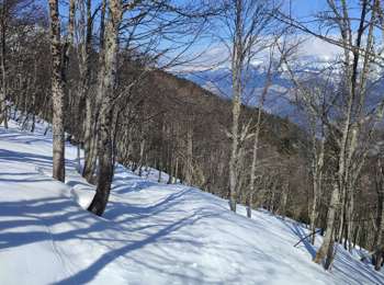 Tour Wandern Cordon - chalets des benes par la croix de la pointe noire - Photo