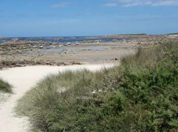 Trail Motorboat Pleumeur-Bodou - Visite des sept Iles  - Photo