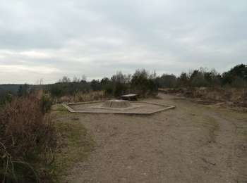 Percorso A piedi Maasmechelen - Mechelse Heide Rode driehoek - Photo