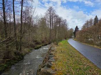 Percorso Marcia Malmedy - 2025-08-06_20h01m31_Cirkwi-Malmedy_26_-_Les_hêtres_entrelacés - Photo