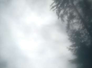 Randonnée Randonnée équestre Bouillon - descente folle - Photo