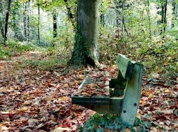 Trail Walking Mons - Saint-Symphorien - Photo