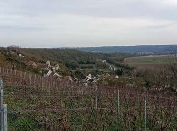 Excursión Senderismo Crouttes-sur-Marne - Crouttes-sur-Marne du 13-02-2022 - Photo