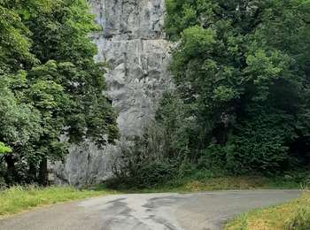 Trail Walking Poligny - Poligny 17.2 km 20220623 - Photo