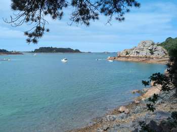 Tour Wandern Paimpol - Lézardrieux Plage de Lodano - GR34 Allée couverte de Mélus PM - 15km 220m 3h45 - 2024 06 28 - Photo