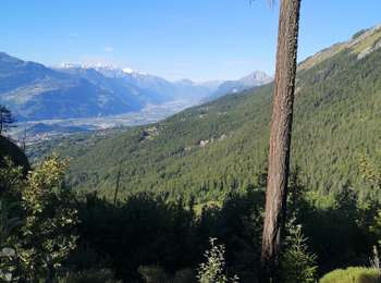 Tour Wandern Ayent - go  - Photo