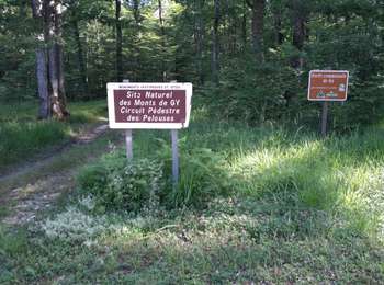 Trail Walking Gy - Fontenay  Gy 21 juin 2020 CAF - Photo