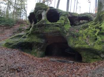 Trail Nordic walking Amange - hermitage amange - Photo