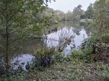 Trail Walking Manage - scailmont - Photo