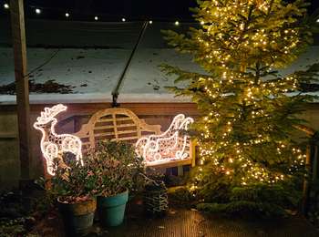 Randonnée Marche Valkenburg aan de Geul - 🎅🎄 Valkenburg - Photo