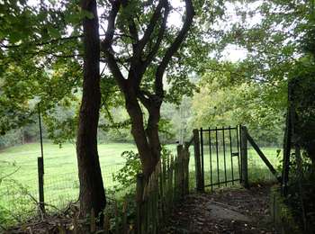 Tocht Stappen Lasne - #201015 - Lasne, Chapelle-St-Lambert, Renipont et Odrimont*** - Photo