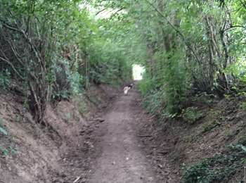 Trail Walking Kelmis - La Calamine Welky  - Photo