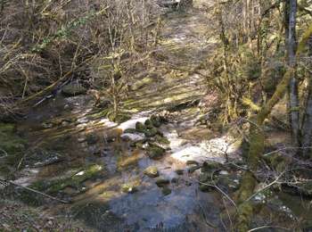 Tour Wandern Coteaux du Lizon - St Lupicin Les Tureys - Photo
