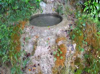 Trail Walking Nevy-sur-Seille - Nevy sur Seille Blois sur seille page 161  - Photo