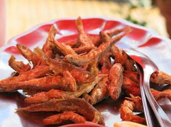 Trail On foot La Truchère - De la Seille aux Sables - Photo