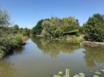 Tour Wandern Clairmarais - Clairmarai - Photo
