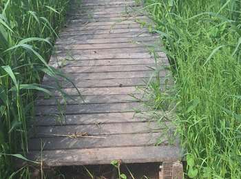 Trail Walking Enghien - modif GRP123 vers Enghien - Photo