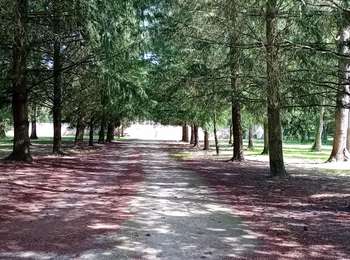 Tour Reiten Noisy-sur-École - Rando CDE77_Aller 27_10_2024 - Photo