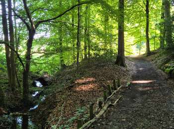 Trail Walking Frasnes-lez-Anvaing - Balade au pays de collines - Photo
