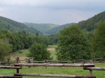 Trail On foot Simmerath - DE-75 - Photo
