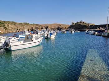 Excursión Otra actividad L'Île-d'Yeu - Vendée_Ile-d'Yeu_balade en Petit-Train - Photo