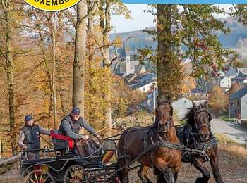 Percorso Carrozza Rendeux - RLB 2017 - Routier 01 - Rendeux - Hotton - Photo