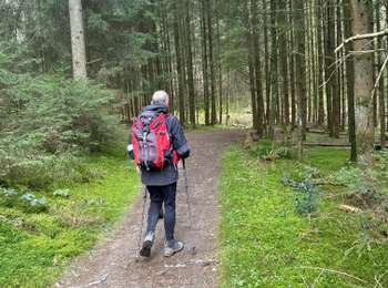 Percorso Camminata nordica Beaufort - GR5 E2 de Beaufort à Vianden - Photo