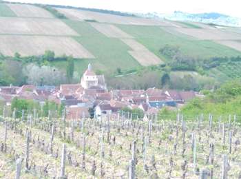 Trail Electric bike Auxerre - Jussy 01052023 - Photo