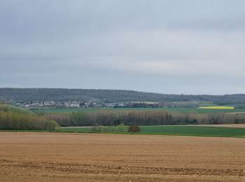 Tocht Stappen Muirancourt - circuit du vieux  chêne  - Photo