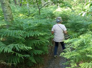 Randonnée Marche Sainte-Mesme - Sainte meme - Photo