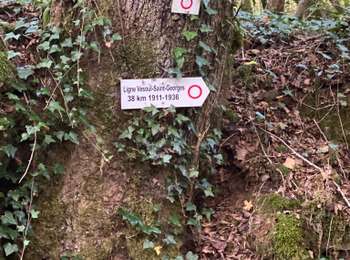 Trail Walking Noroy-le-Bourg - Les miroudot - Photo