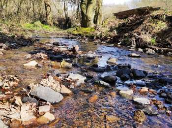 Trail Walking Sprimont - Les vallons du chantoir  - Photo