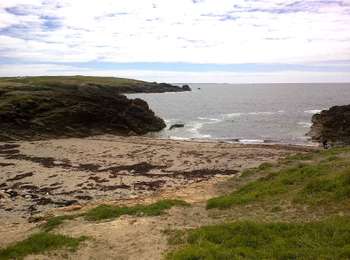 Tour Zu Fuß Quiberon - Côte sauvage - Photo